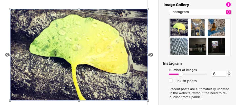 The Sparkle image gallery with Instagram source images
